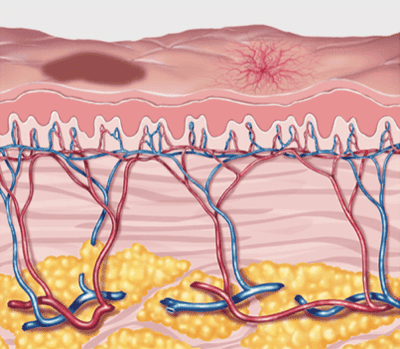 効果と実感できる変化