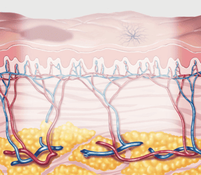 効果と実感できる変化
