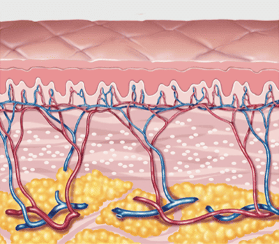 効果と実感できる変化