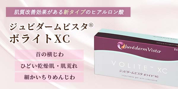 シュビダームビスタボライトXC