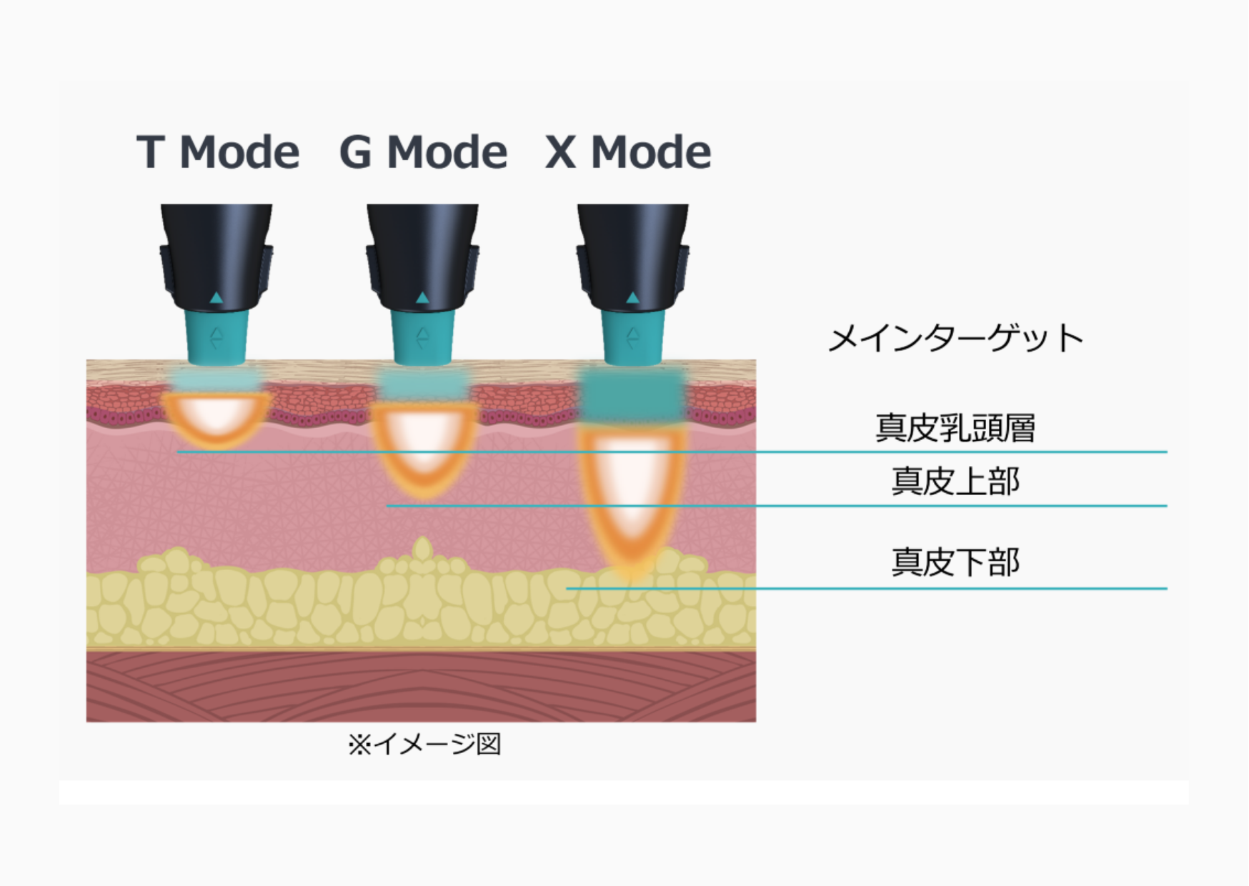 オリジオキス画像