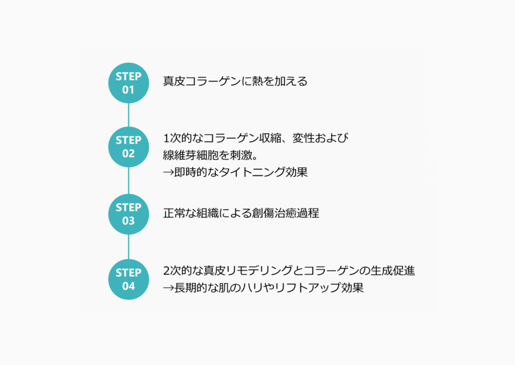 オリジオキス画像